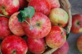 Яблоки нужно есть каждый день: неоценимая польза для здоровья