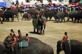 Фестиваль слонов 2019 в Таиланде. ФОТО