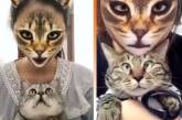 Реакция животных бесценна: Пользователи Сети шокируют котов с помощью масок. ФОТО