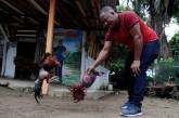 Петушиные бои как традиция и спорт в Панаме. ФОТО