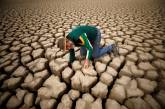Сильнейшая засуха за сто лет на юге Африки. ФОТО