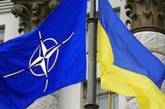 Генсек НАТО удивлен остановкой евроинтеграции Украины