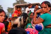 Жертвоприношение животных на индуистском фестивале Гадхимаи. ФОТО