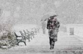 В первый день зимы Украину засыплет мокрым снегом