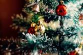 Рождественский рекорд: в Германии супруги установили в своем доме 350 праздничных елок