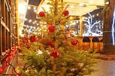 Зайцы в мухоморах и коты в елках: Одесса готовится к новогодним праздникам. ФОТО