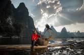 Удивительная рыбалка с помощью бакланов в Китае. ФОТО