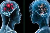Учёные доказали, что мозги мужчин и женщин действительно отличаются 