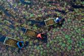 Повседневная жизнь в Индии. ФОТО