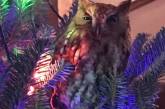 Сова тайно жила на рождественской елке американцев в течение недели. ФОТО