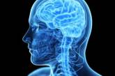 Аневризма сосудов головного мозга: как ее обнаружить?