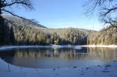 Заснеженная красота: появились зимние кадры одного из крупнейших озер Украины