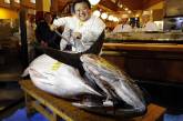 В Токио продали голубого тунца за 1,8 млн долларов. ФОТО