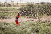 Необычное нашествие саранчи в Восточной Африке. ФОТО