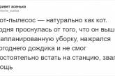 Пользователи Твиттера доказывают, что роботы-пылесосы похожи на котов, и делятся историями их косяков. ФОТО