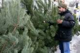 В Киеве продавцы елок подрались из-за места