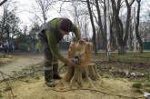 В Одесском парке из пеньков и высохших деревьев делают новые достопримечательности. ФОТО