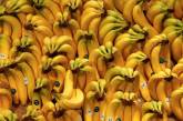 В американском порту застряли 110 тысяч коробок гнилых бананов