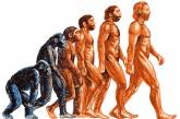Треть американцев отвергла эволюцию человека