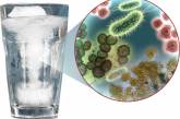 Бактерии в питьевой воде — как избавиться?