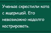 Свежая подборка забавных анекдотов. ФОТО