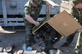 НАТО выделит Украине 1,8 миллиона долларов на утилизацию боеприпасов в 2014 году
