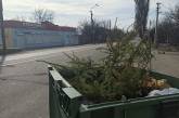 Сделал жене подарок на 8 марта: в Днепре новогоднюю елку выбросили в мусорный бак. ФОТО