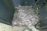 Обед на миллион: мыши залезли в банкомат и съели там все деньги. ФОТО