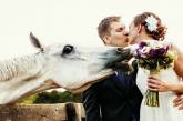 12 свадебных фотографий, которые испортила какая-то скотина. ФОТО