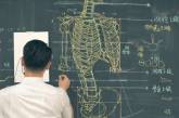 Тайваньский преподаватель рисует невероятные анатомические иллюстрации на доске. ФОТО