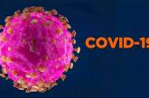 Безумные факты о коронавирусе и заболевании, которое он вызывает. ФОТО
