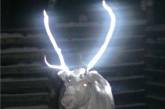 Лапландских оленей снабдят светоотражающими рогами