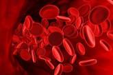 Продолжительность жизни можно установить по анализу крови