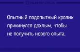 Подборка уморительных анекдотов. ФОТО