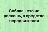 Украинцы в соцсетях высмеяли ужесточение карантина. ФОТО