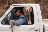 Фотограф Терон Хамфри и его собака Мэдди путешествуют вместе. ФОТО