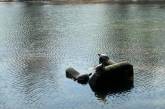 На Виноградаре по озеру плавают черепахи в кресле
