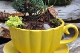 Креативные маленькие садики в чашках и чайниках. ФОТО