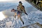 НАТО использует в Афганистане собак-парашютистов