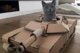 Забавные котики в картонных танках