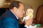 Сильвио Берлускони на старости лет полюбил животных