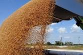 Из-за крымского кризиса в мире подорожало зерно