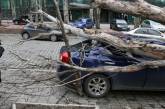 Синоптики предупреждают, что так же холодно будет и завтра