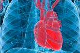 3D-печать начали использовать для создания живого человеческого сердца