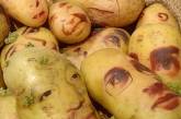 Любители картошки рискуют здоровьем