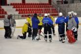 Национальная хоккейная сборная Украины отправилась на чемпионат мира-2014