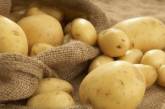 Россия отказалась от украинского картофеля