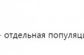 Путин назвал Россию отдельной цивилизацией: в сети смеются. ФОТО