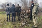 Нарушителей с рогами задержали в Чернобыльской зоне. ВИДЕО