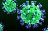 Как коронавирус Covid-19 инфицирует человека: яркое объяснение. ВИДЕО